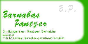 barnabas pantzer business card